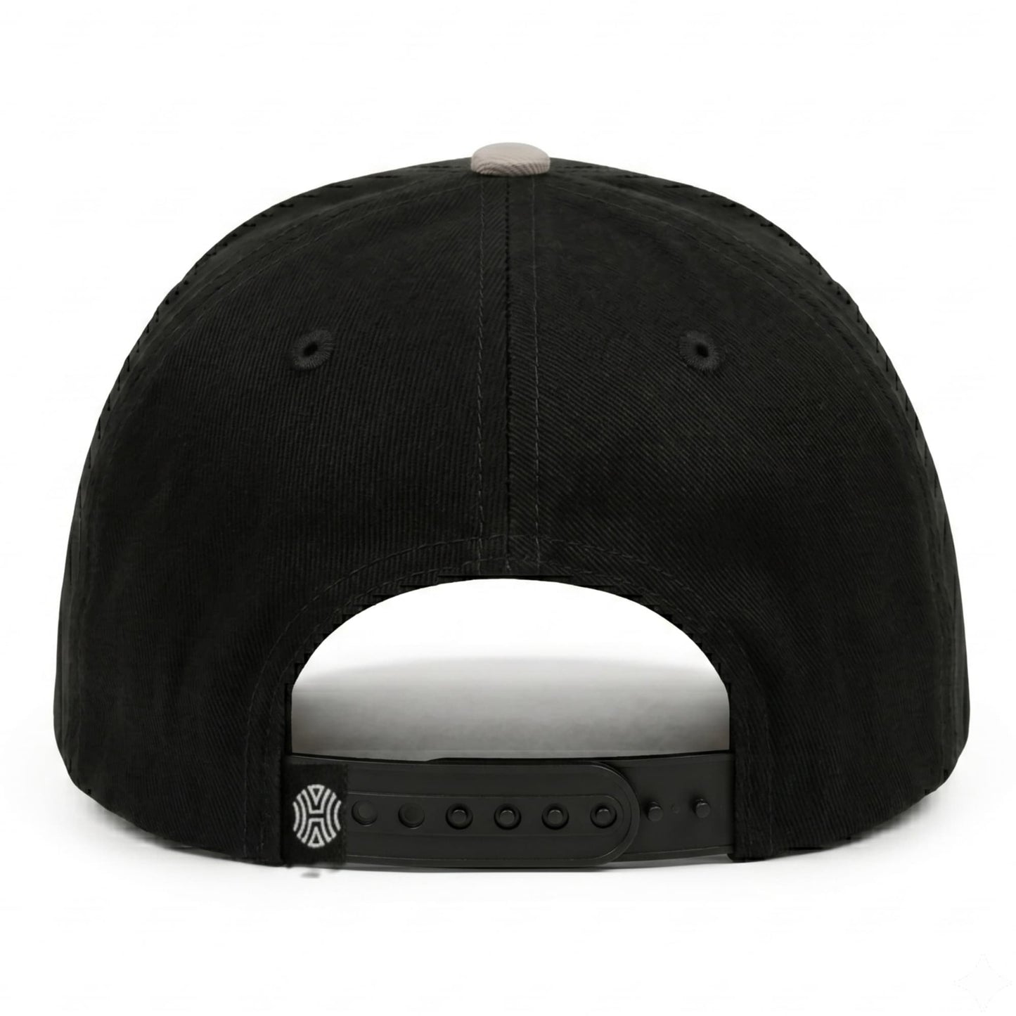 Raptors Snapback