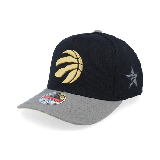 Raptors Snapback – Black / Gold