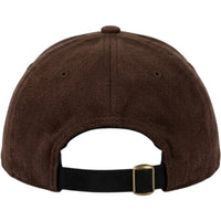 Mood Iguana Cap