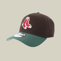 Fenway Park – Baseball