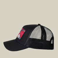 Intelligent Mood Cap