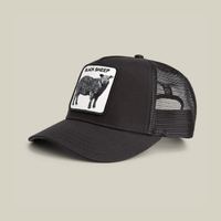 Black Sheep Cap