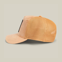 Warrior Cap
