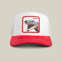 Vicious Cap