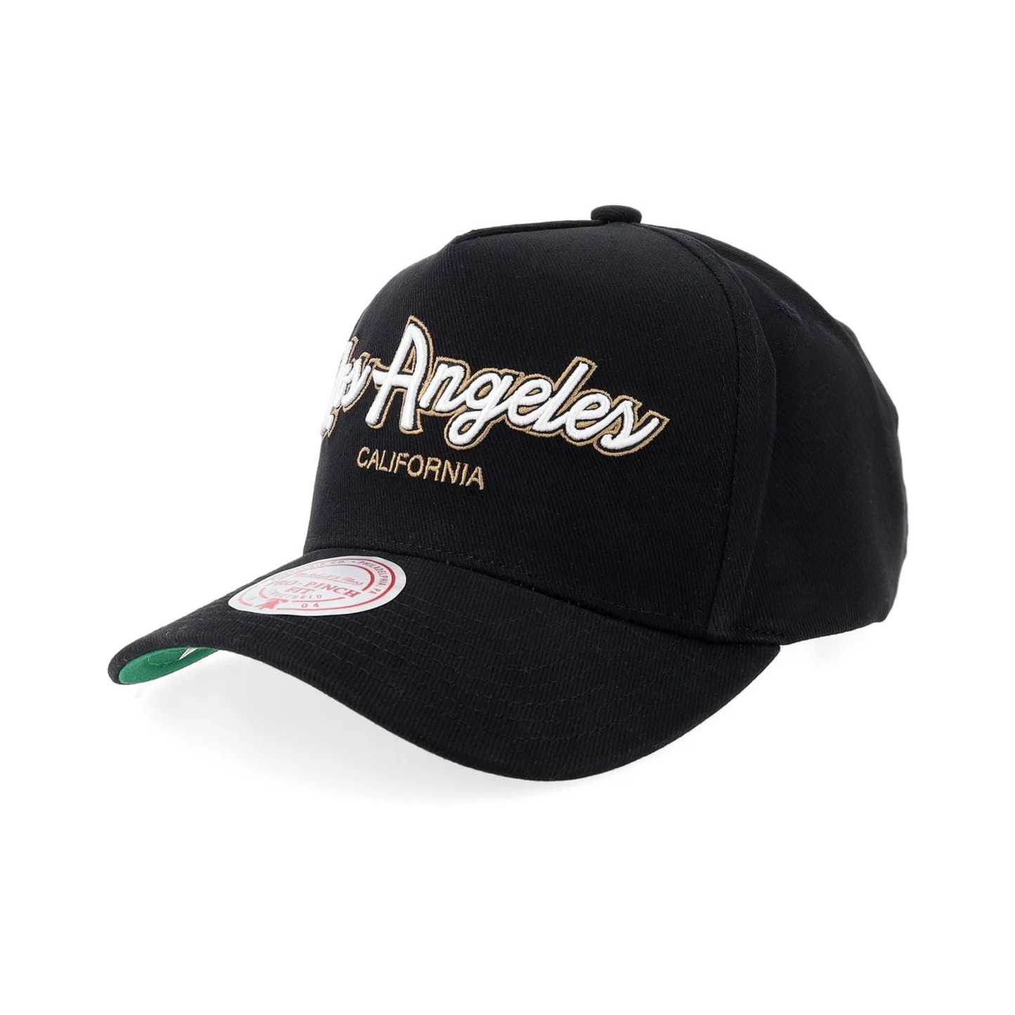 Los Angeles California Snapback