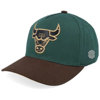 Chicago Bulls Cap