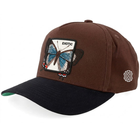 Exotic Butterfly Cap