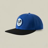 Cool Panda – Royal Blue Snapback