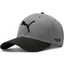 Puma Cap