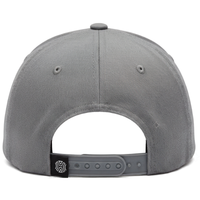 Puma Cap
