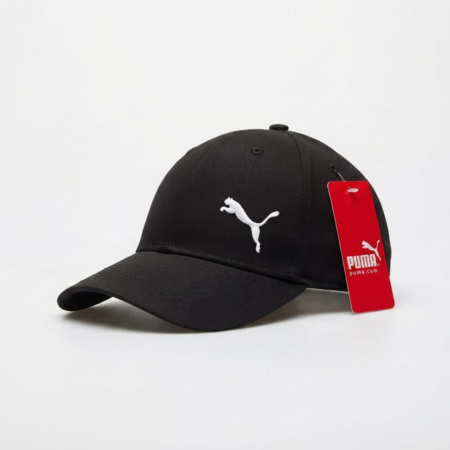 Black Puma